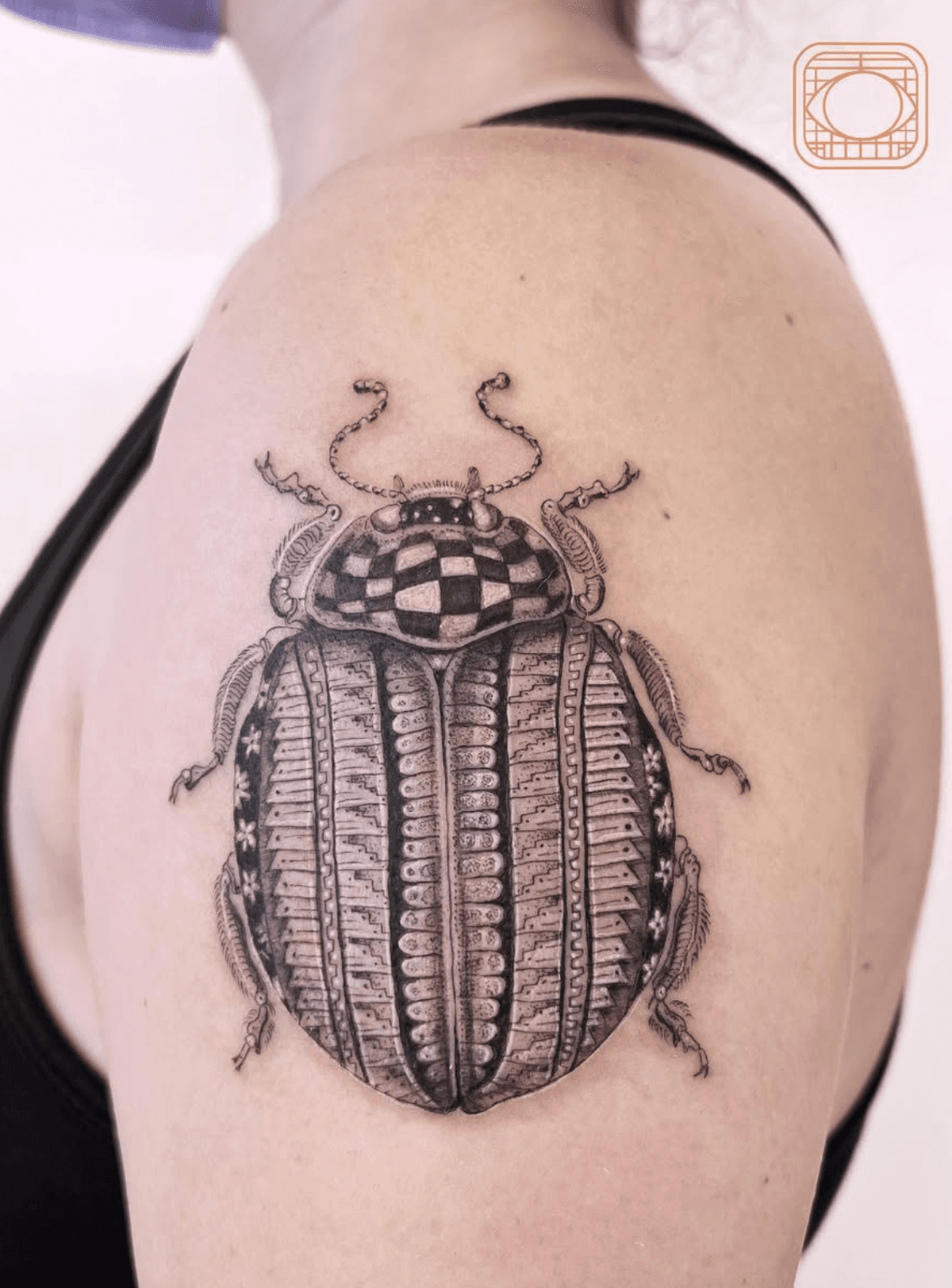 Detailed Beetle