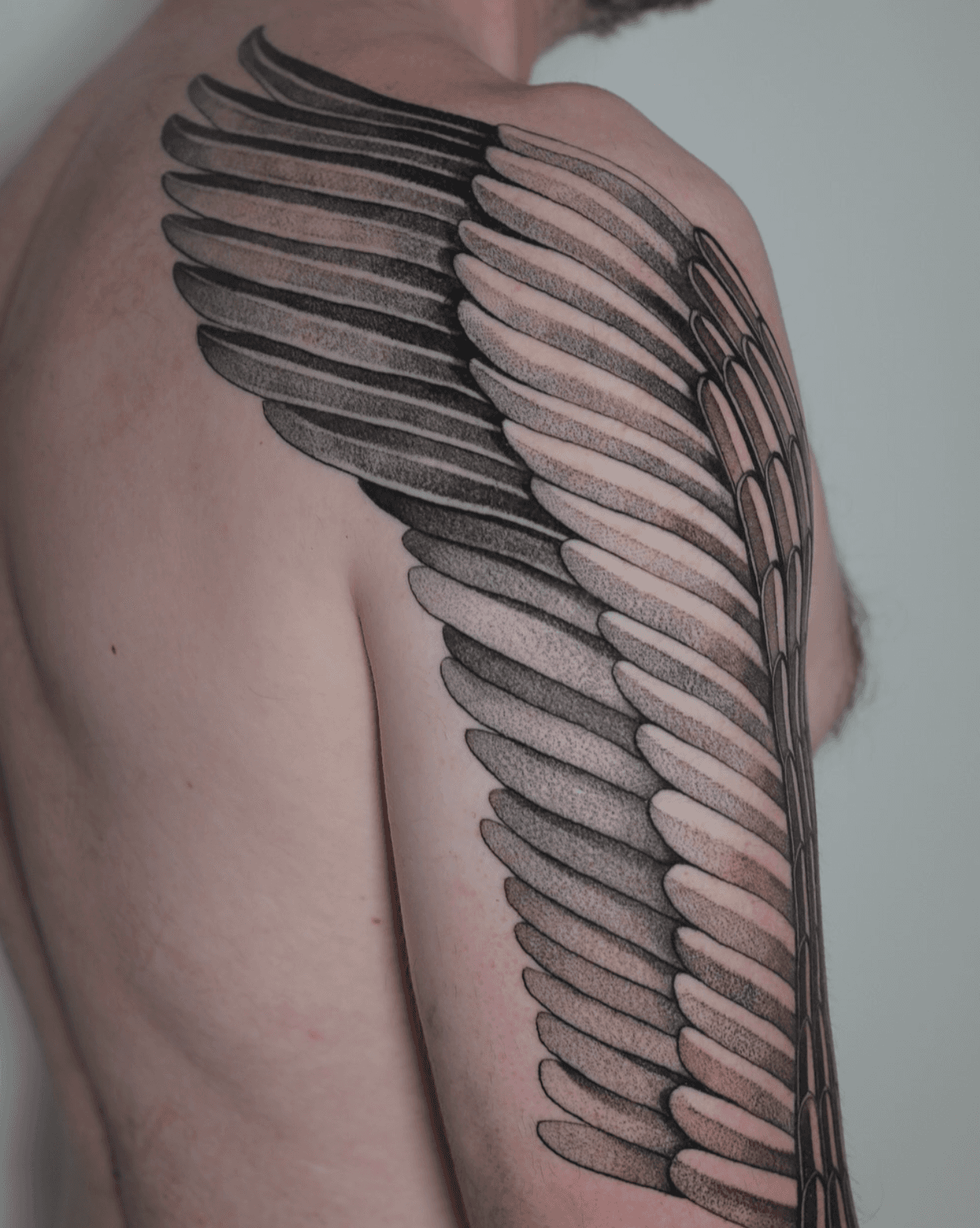 Feathered Wing