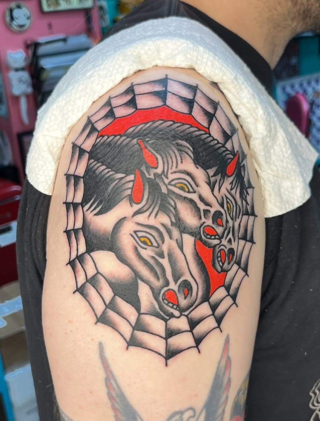 Three horse heads in web