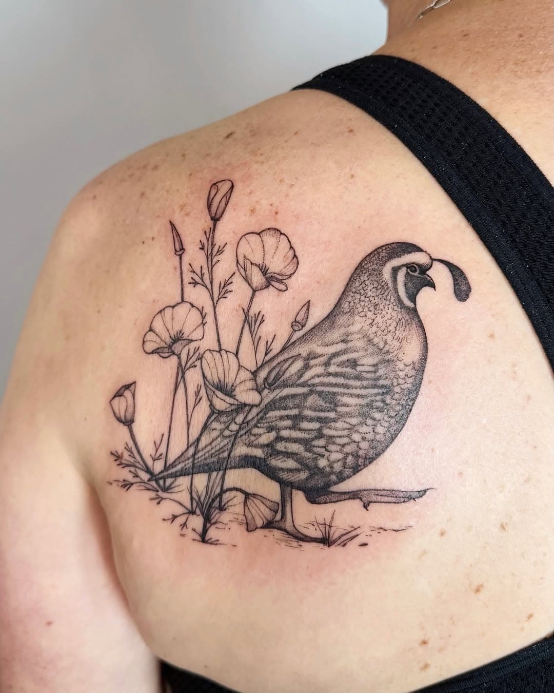 Quail and poppy botanic composition