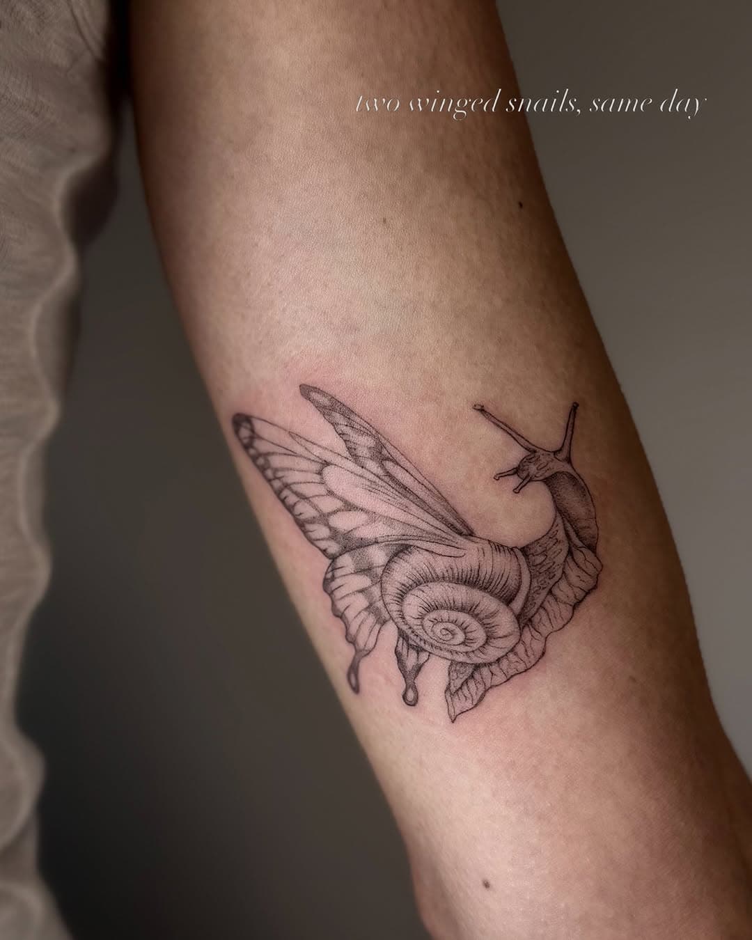 Winged Snail Creature