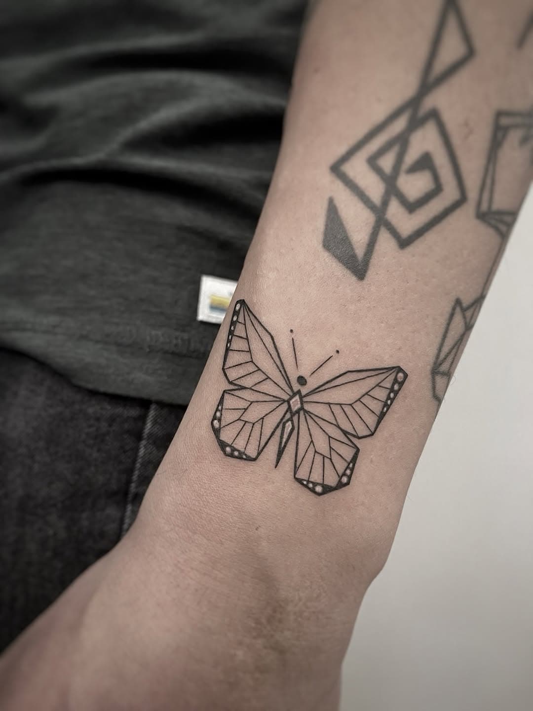 Geometric Butterfly and Abstract Shapes