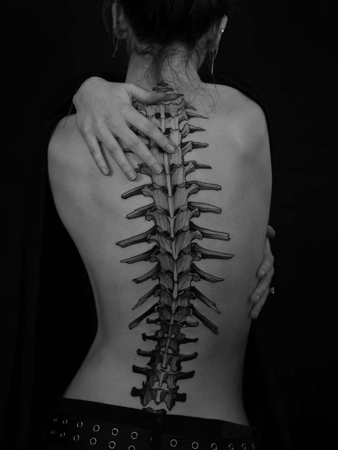 Anatomical Spine
