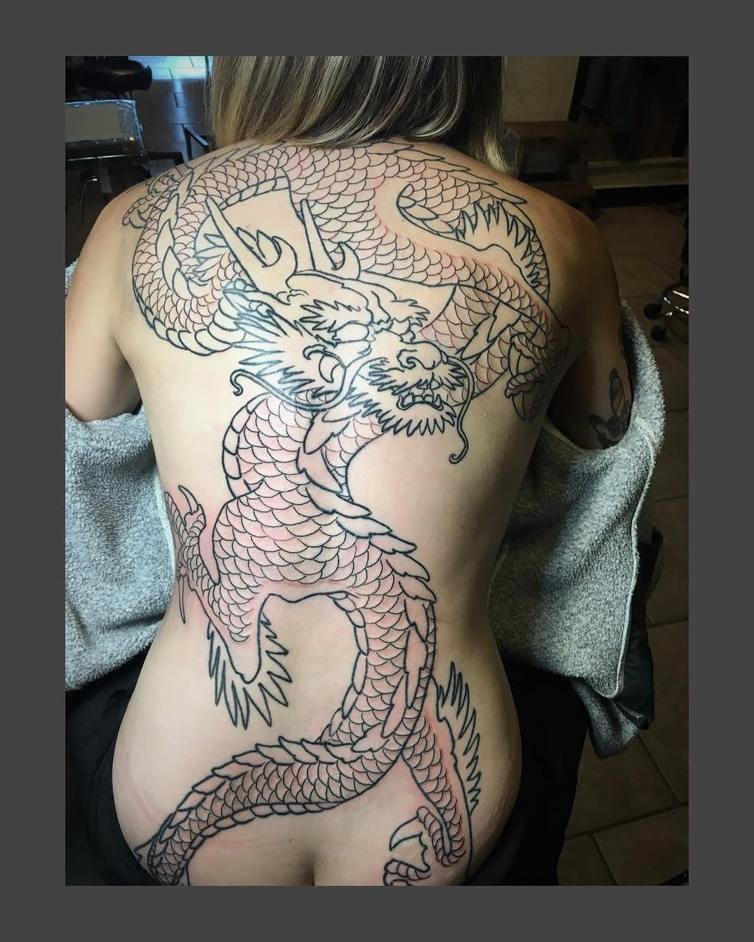 Full back scaled dragon