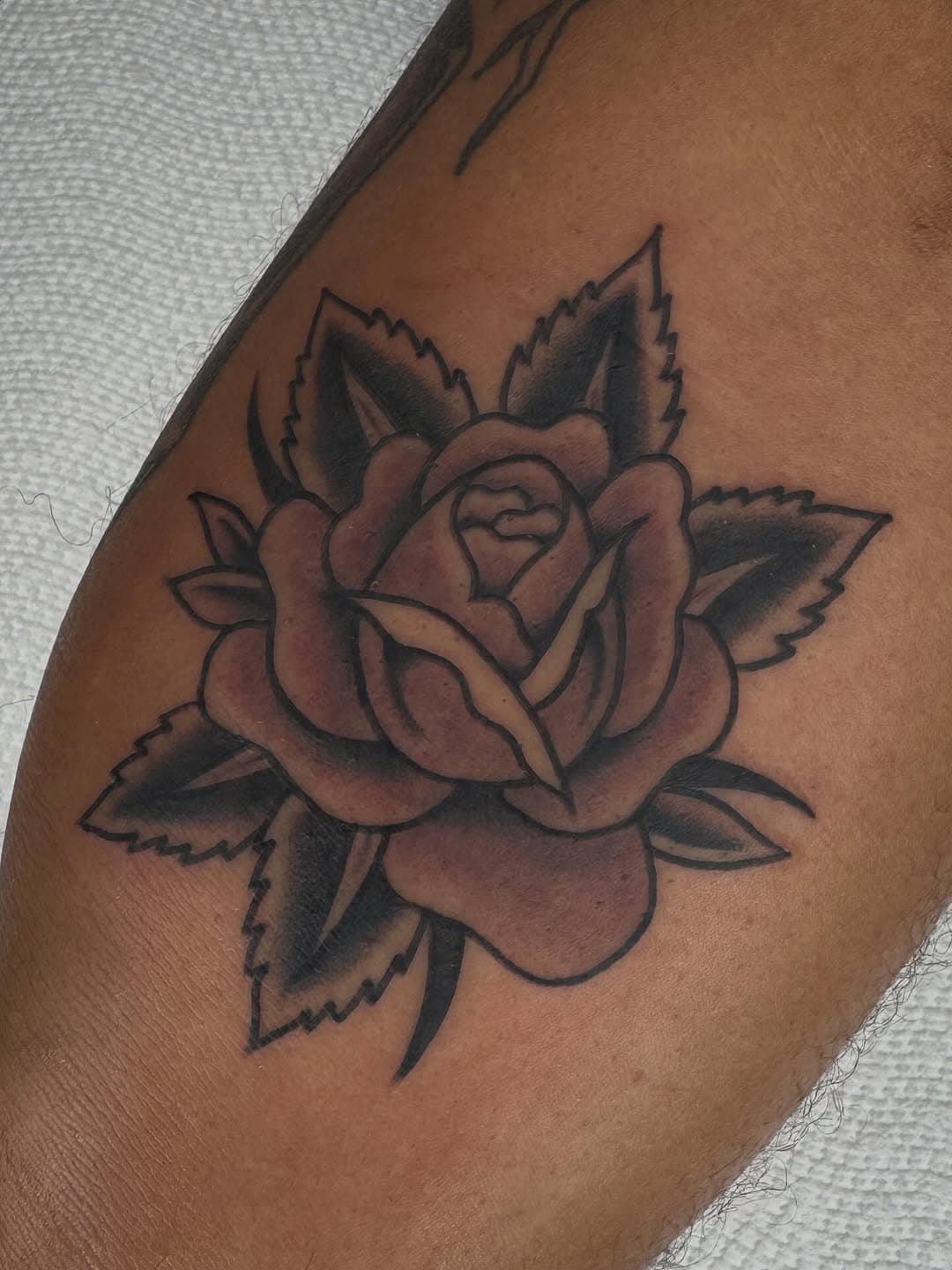 Black and gray rose blossom