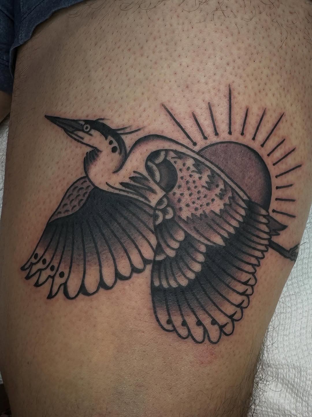 Soaring Heron and Sun