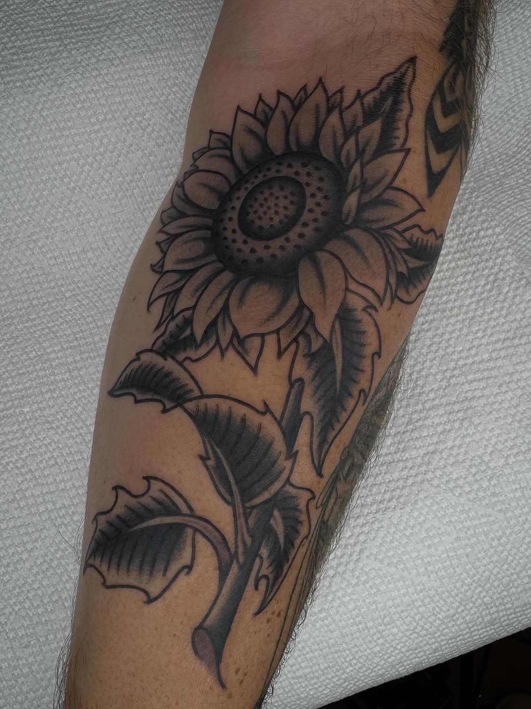 Sunflower blossom