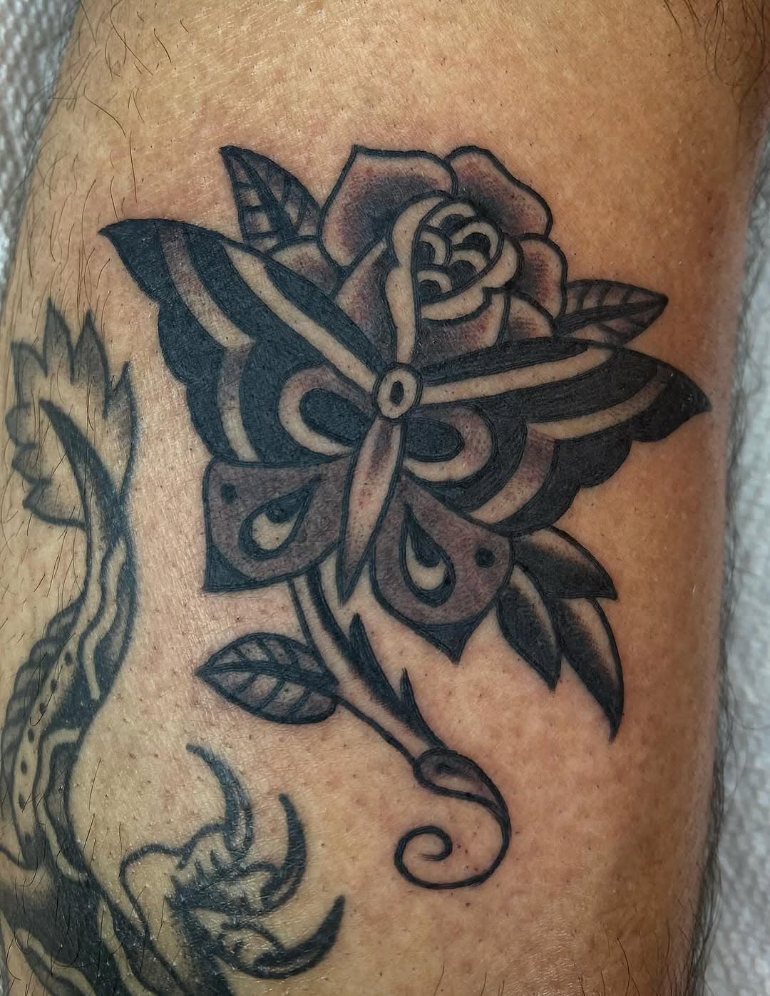 Moth and Rose Floral