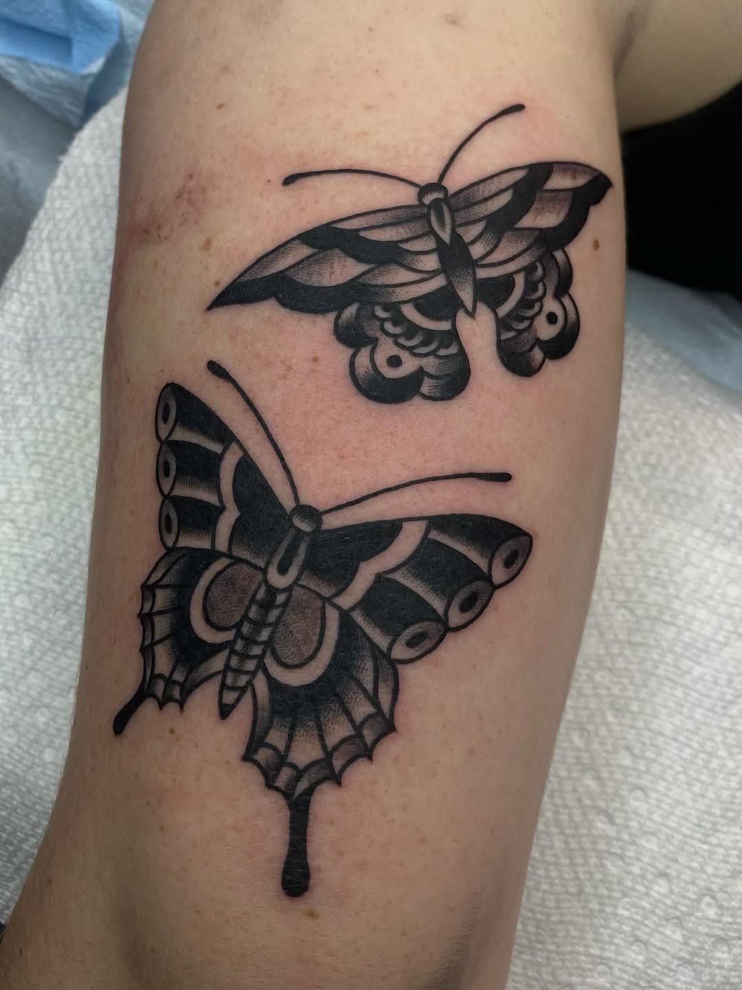 Two Traditional Butterflies