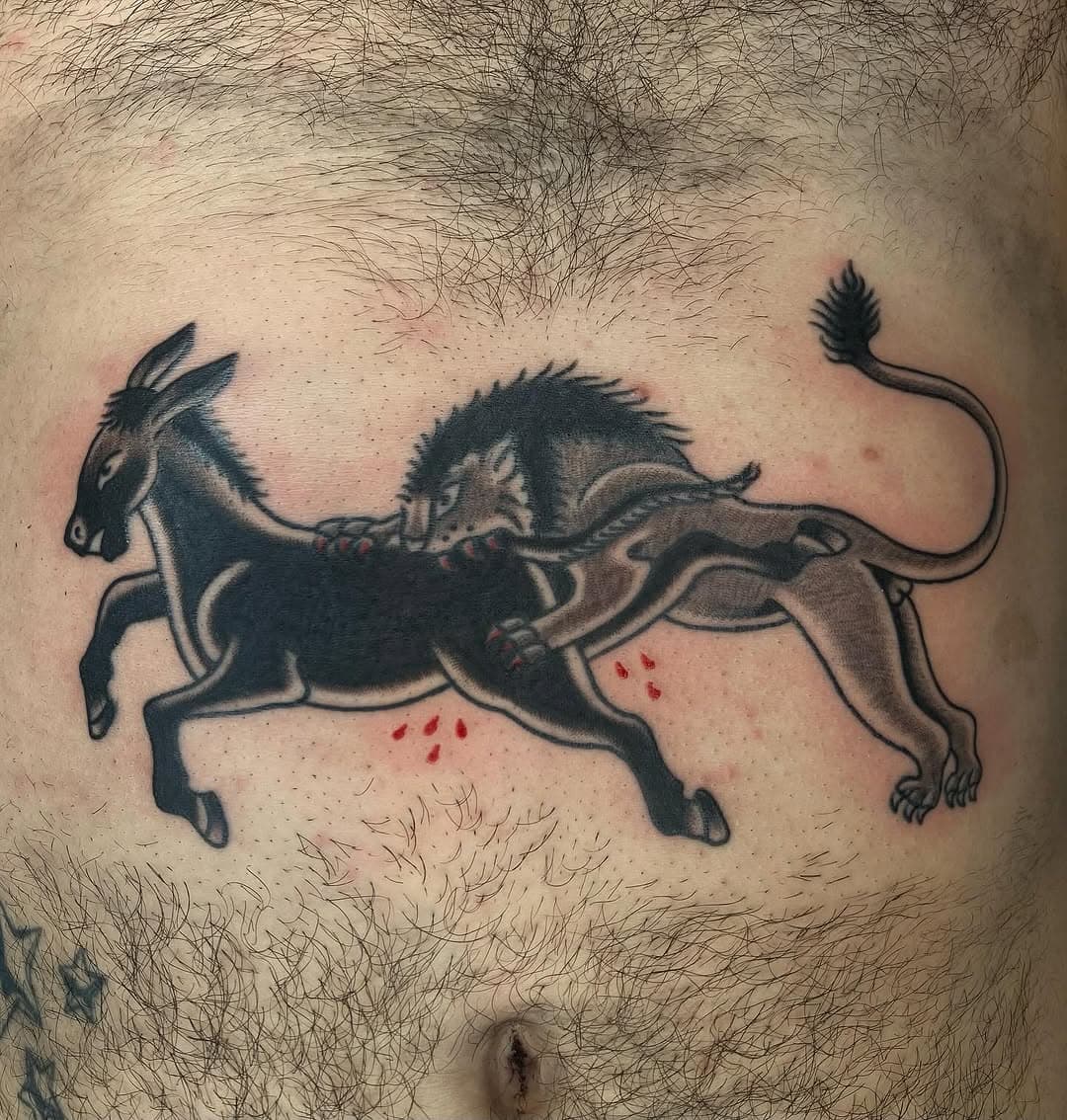 Lion attacking donkey