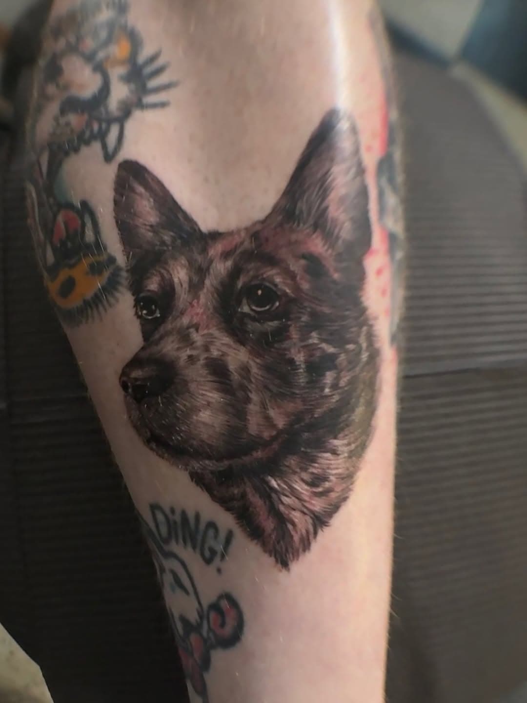 Realistic Dog Portrait