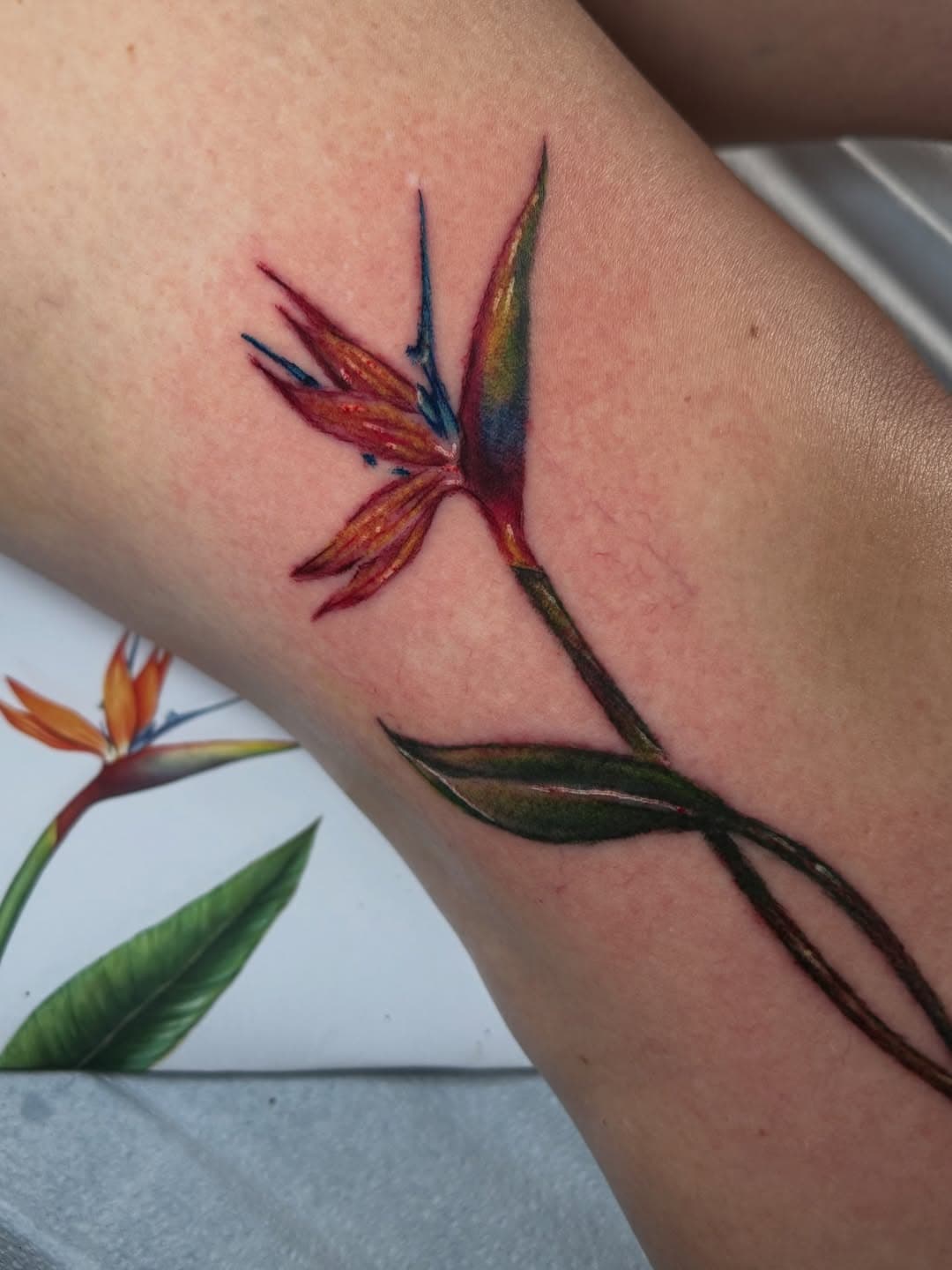 Vibrant Tropical Blossom