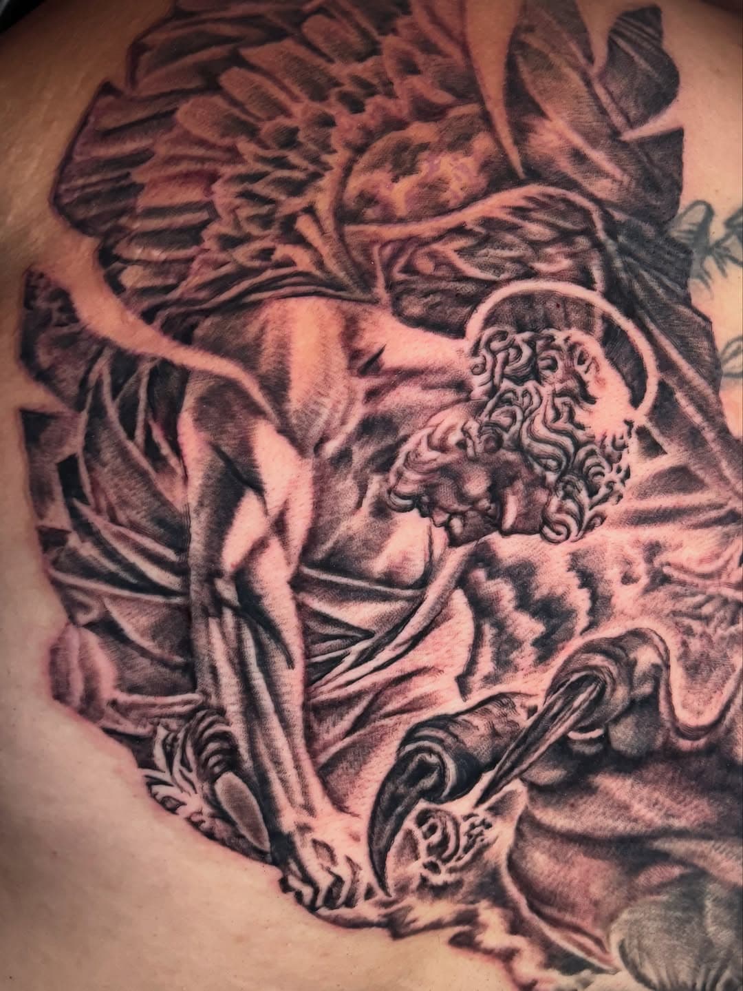 Fallen Seraphim and Talons