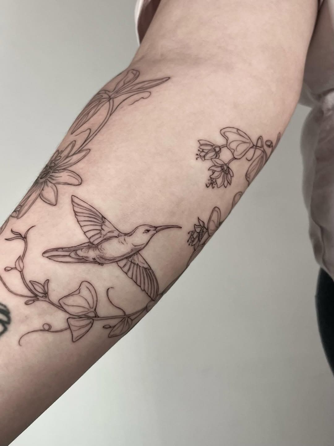 Hummingbird amidst flowering vines