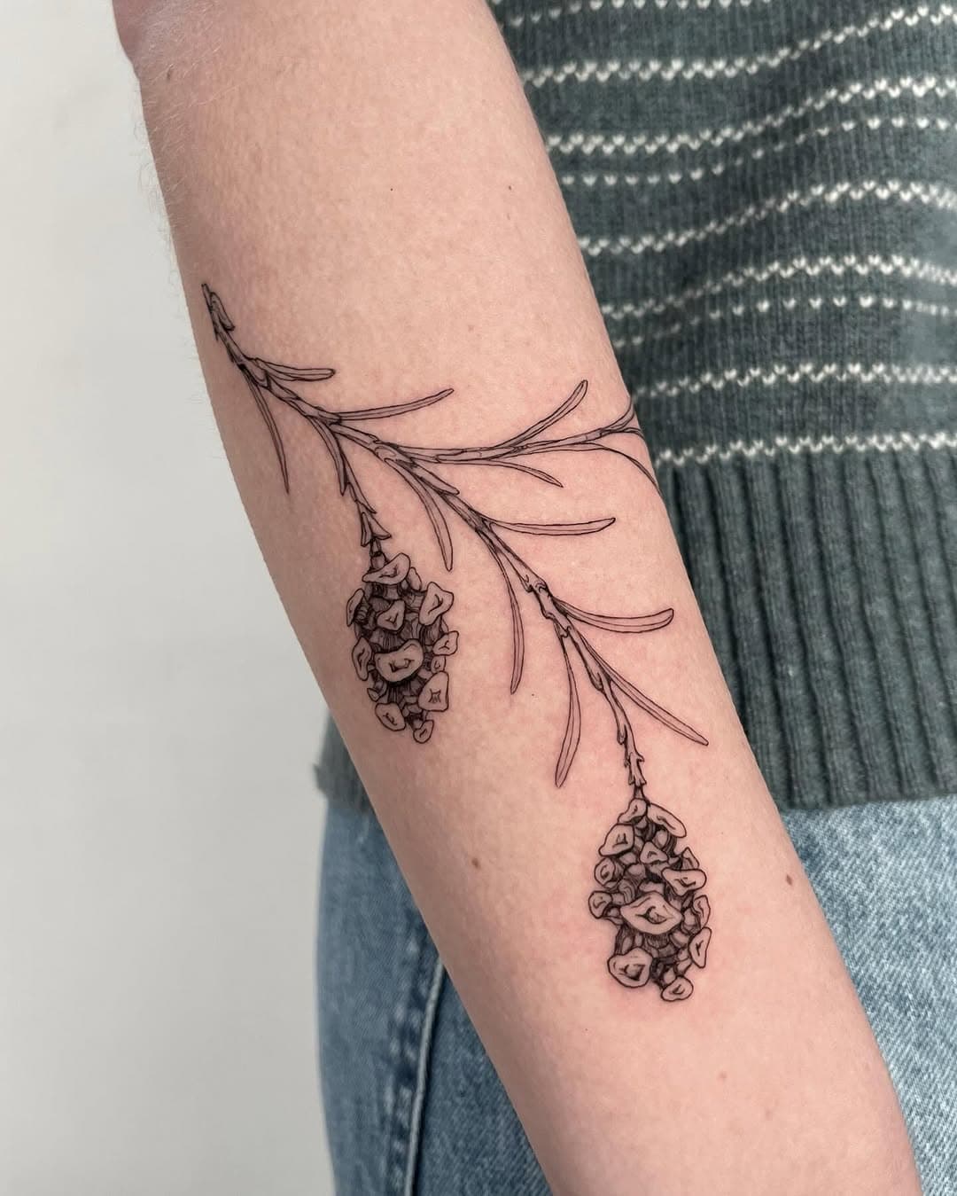 Botanical sprig with pods