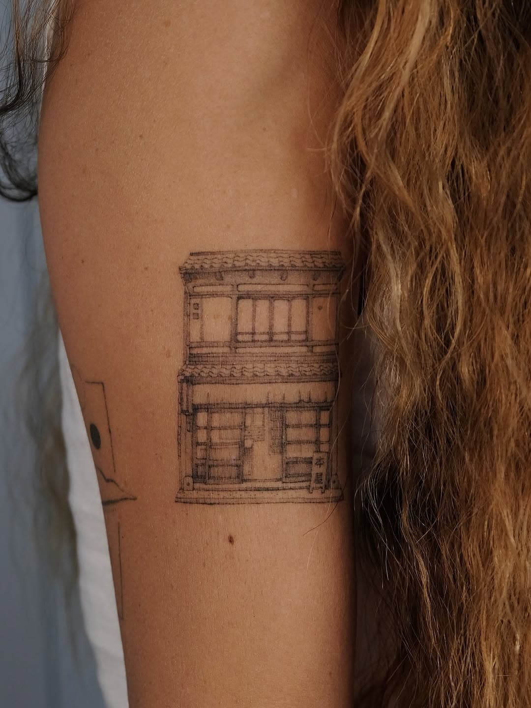 Traditional building on arm
