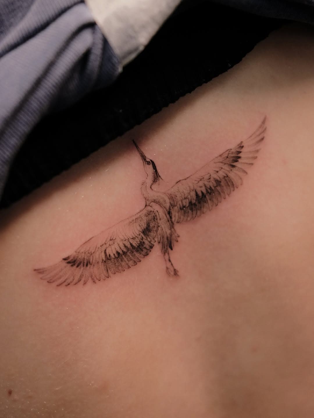 Graceful Flying Crane