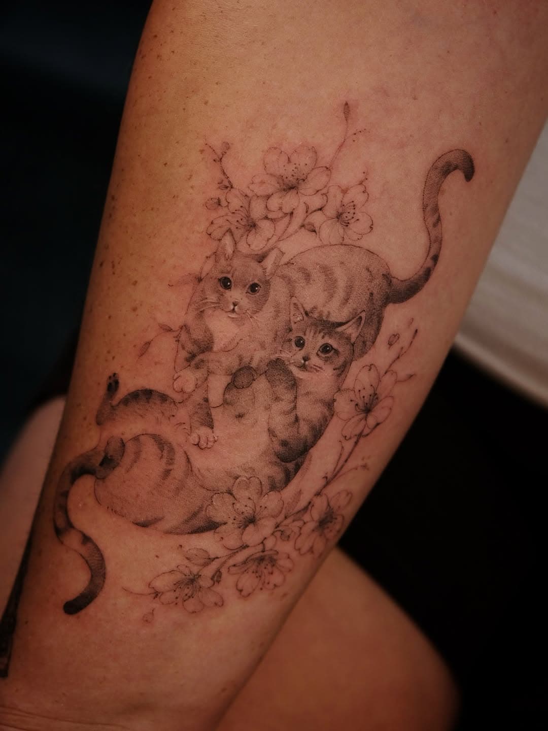 Two playful felines with blossoms