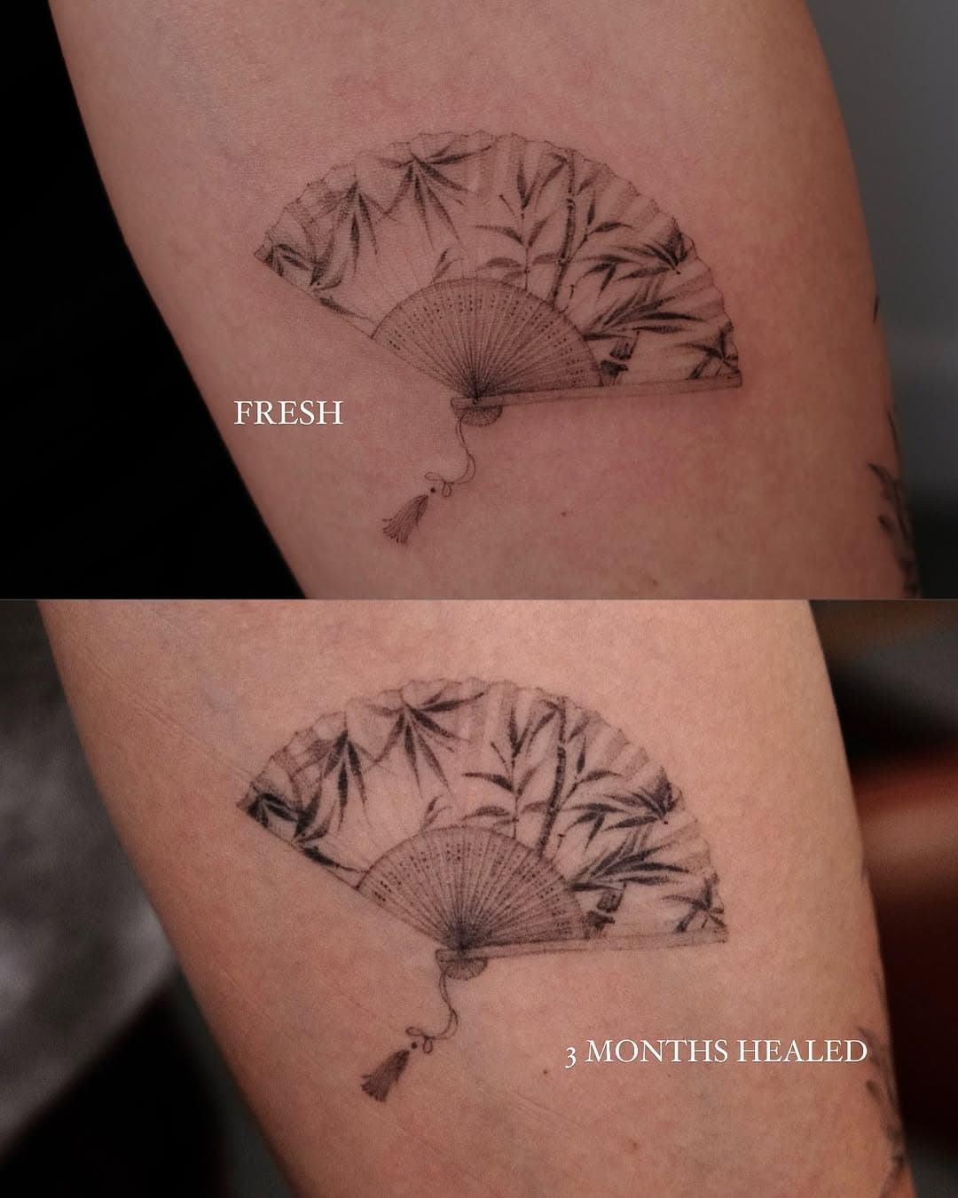 Folding Fan with Bamboo