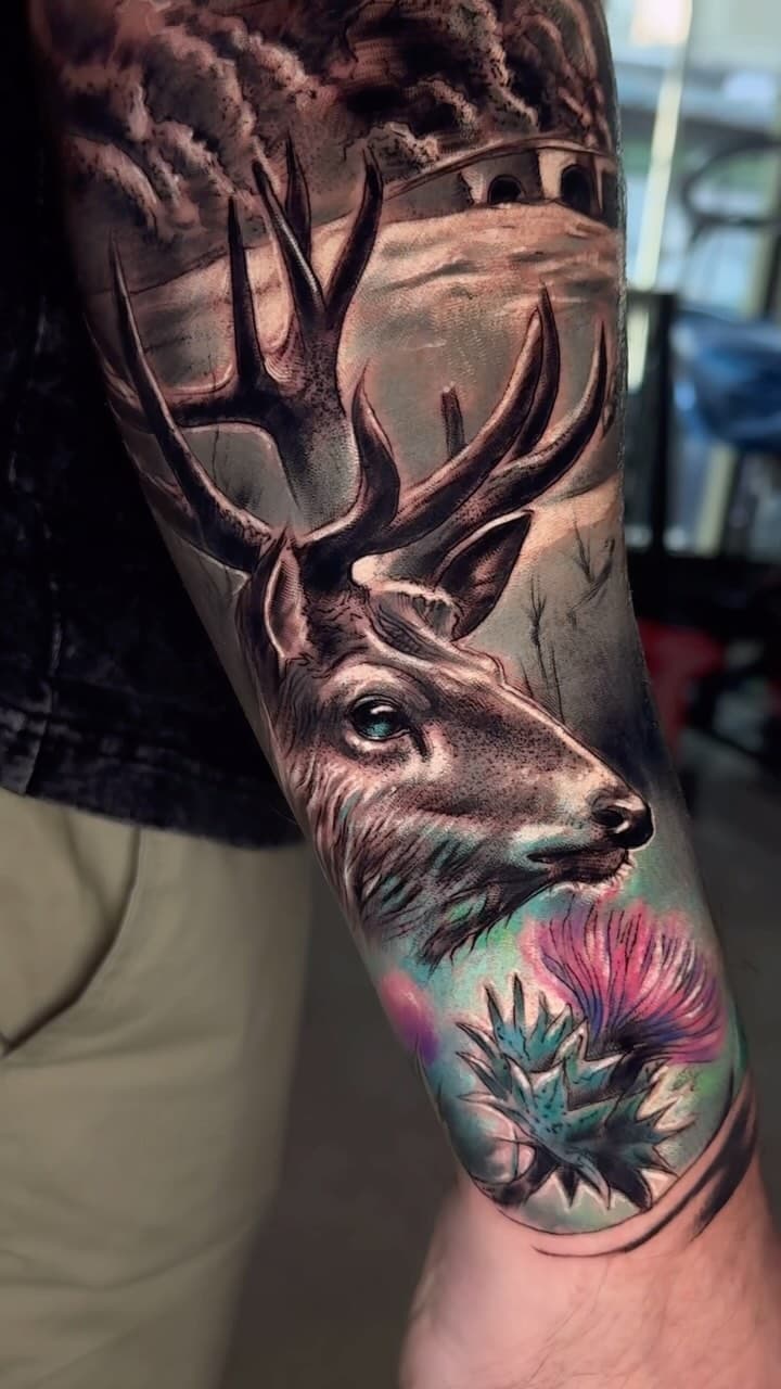 Stag and Thistle Landscape