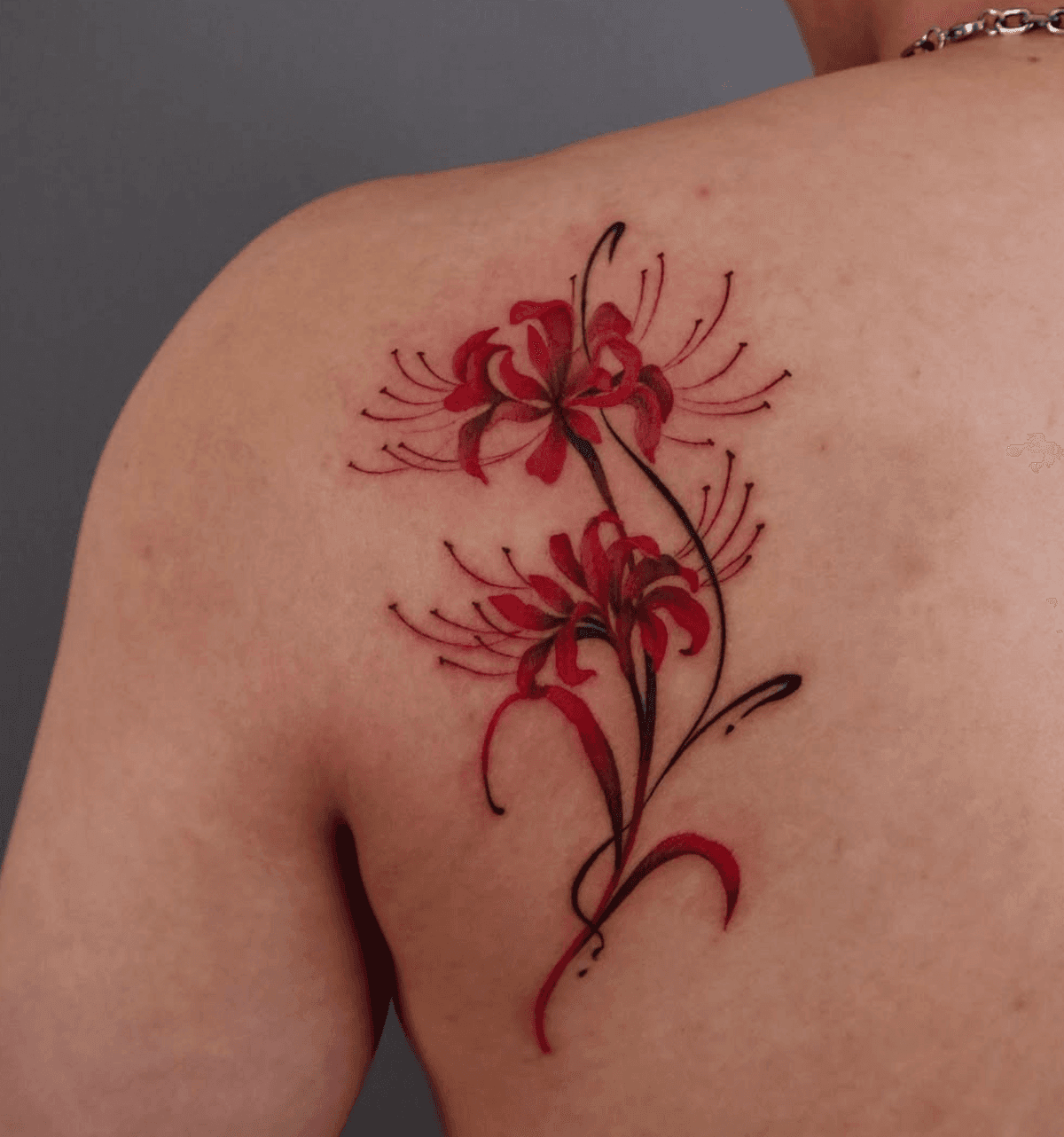 Spider Lily Duo
