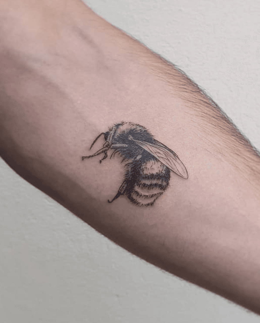 Bee Illustration