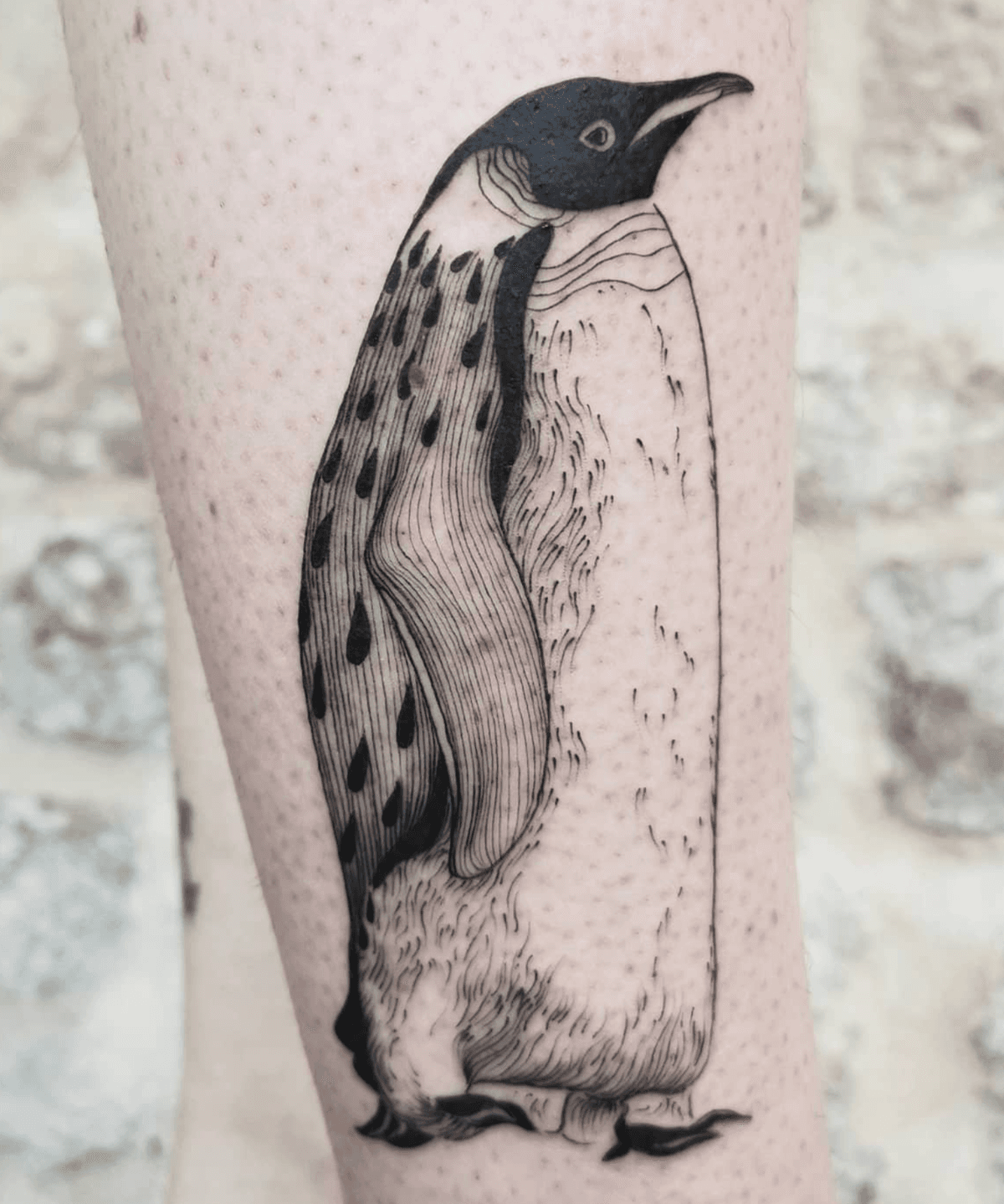 Intricate Penguin