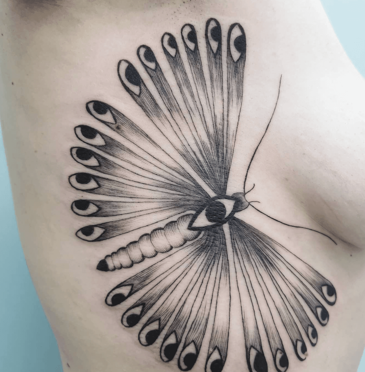 Eye-Patterned Butterfly