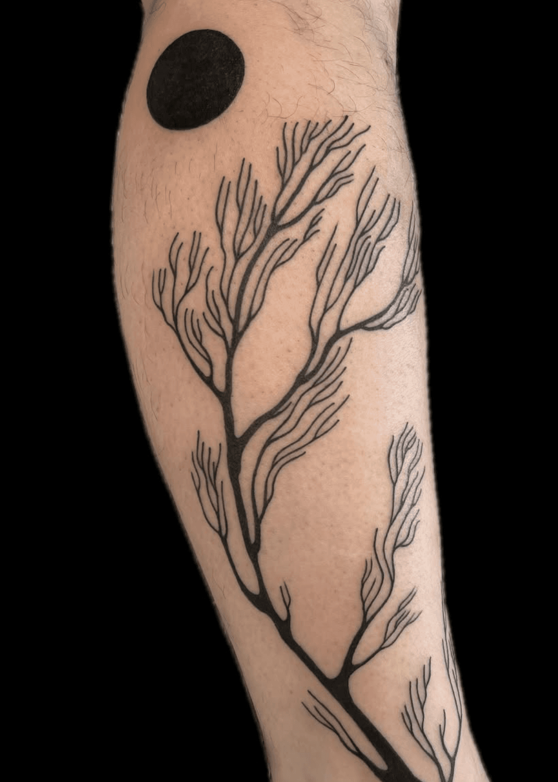 Branching Lines
