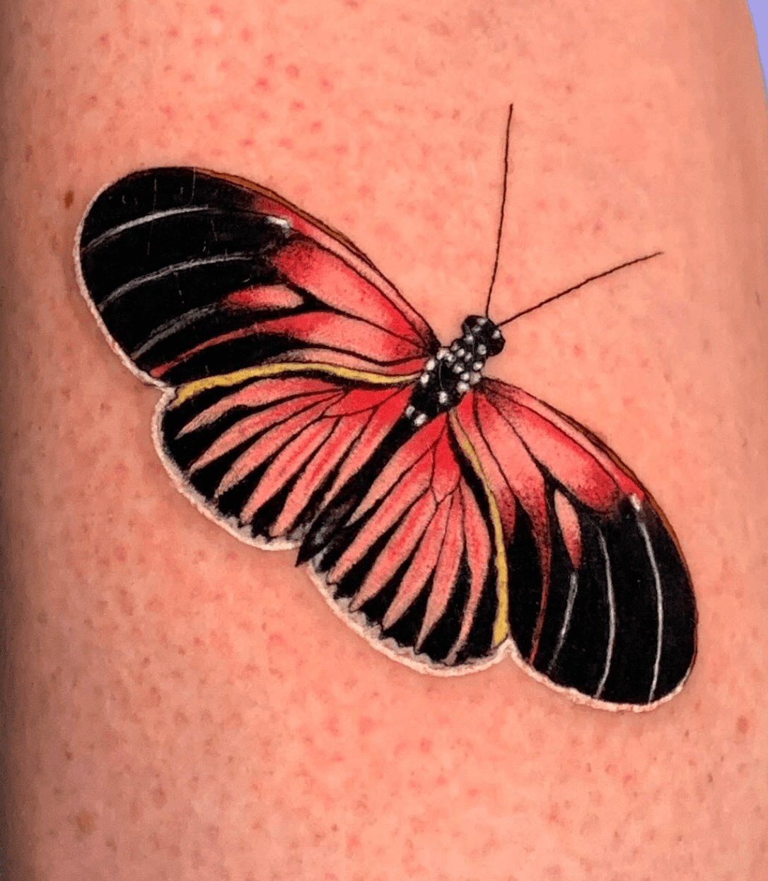 Beautiful Butterfly