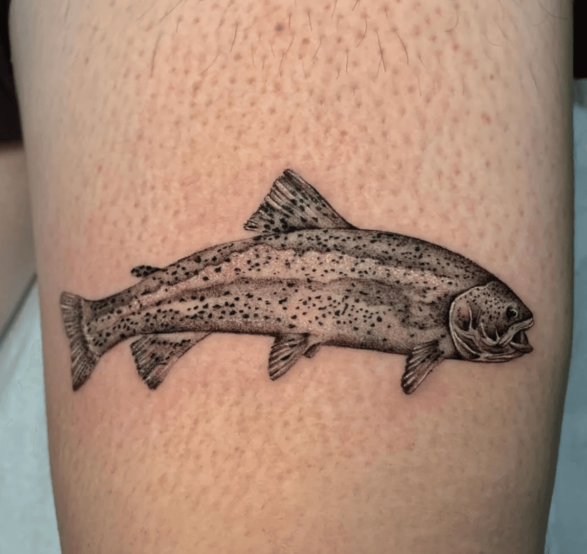 Realistic Trout
