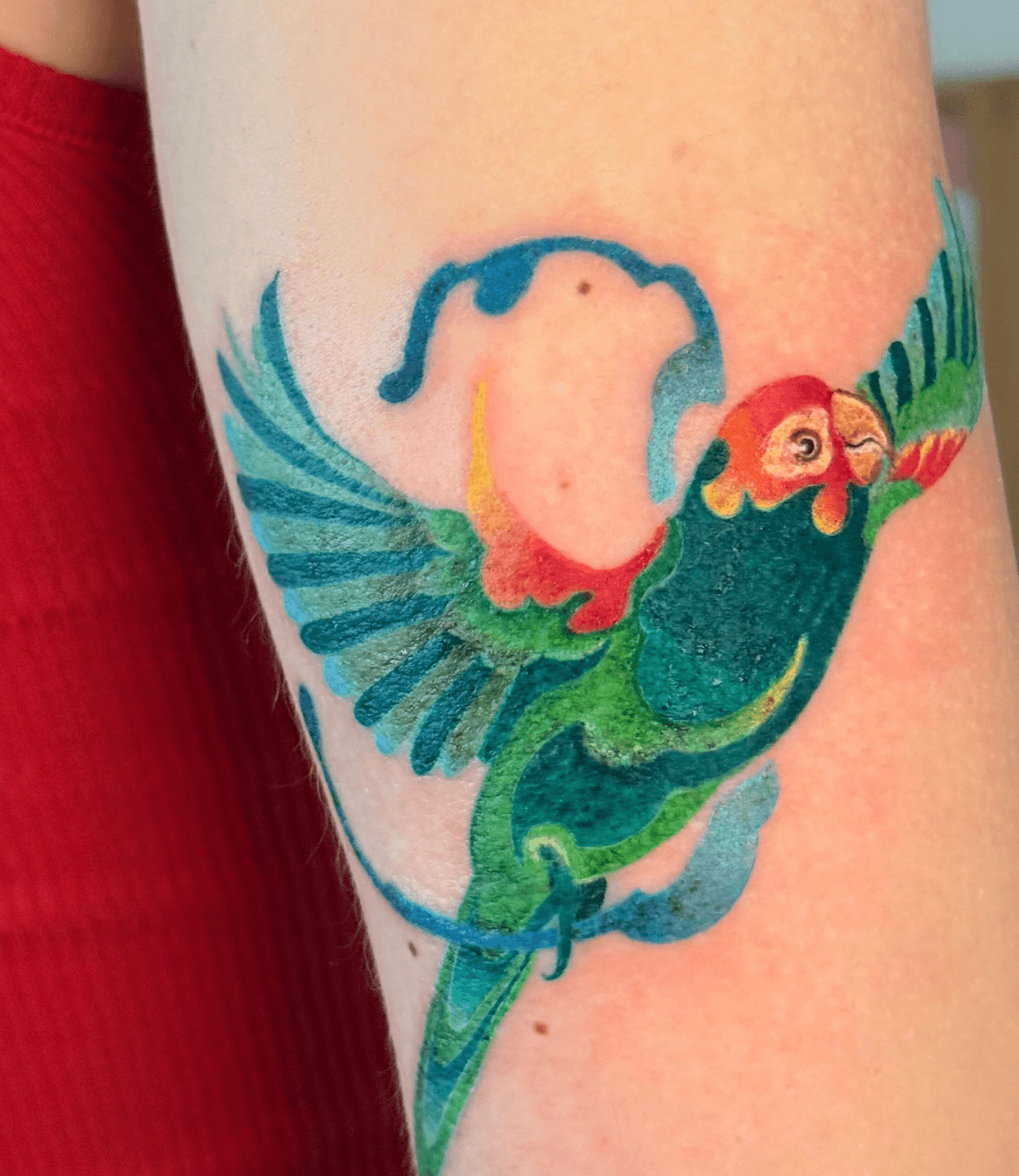 Colorful Parrot in Flight