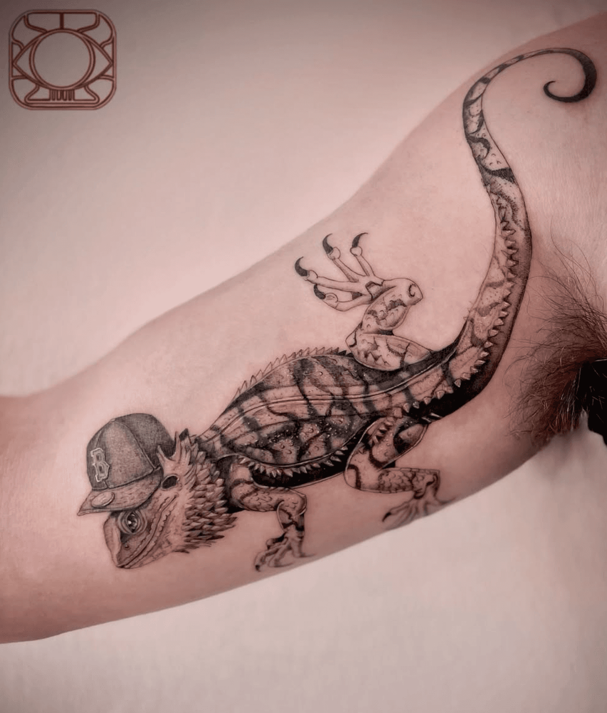 Bearded Dragon in a Cap