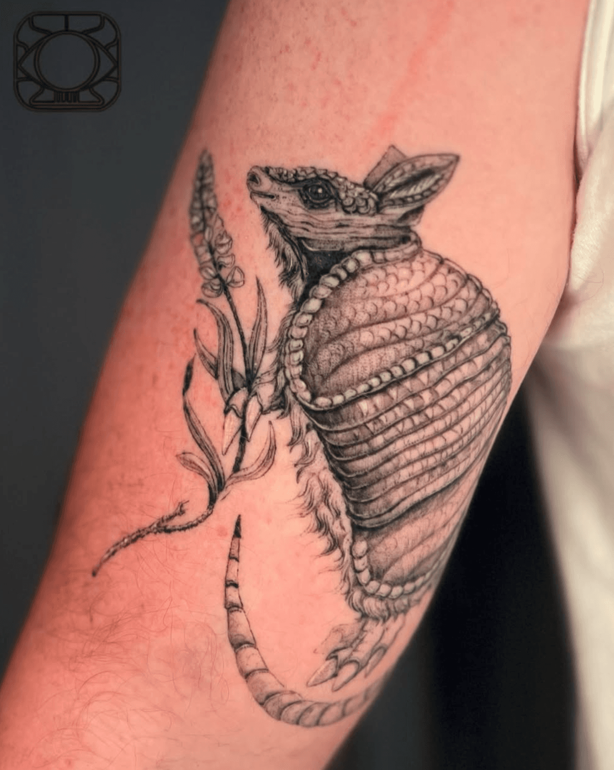Armadillo with Flora