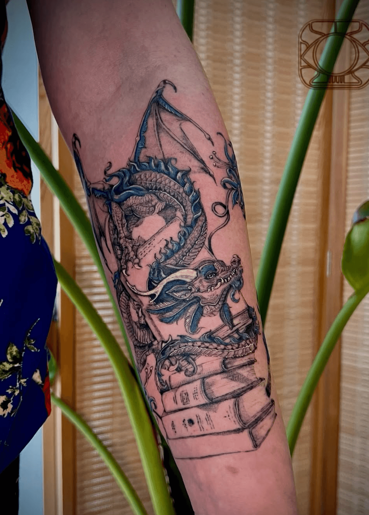 Dragon Among Books