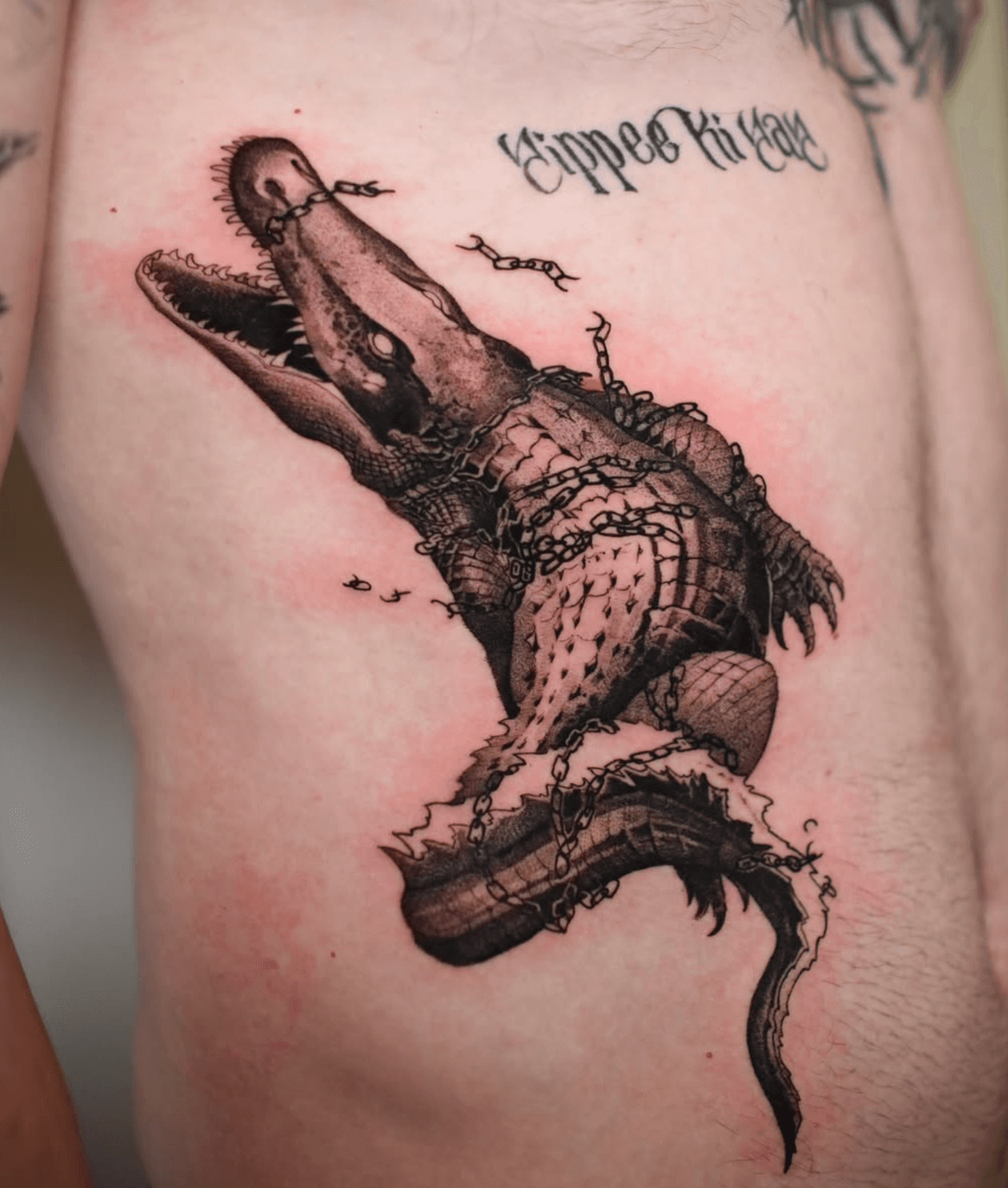 Chained Alligator