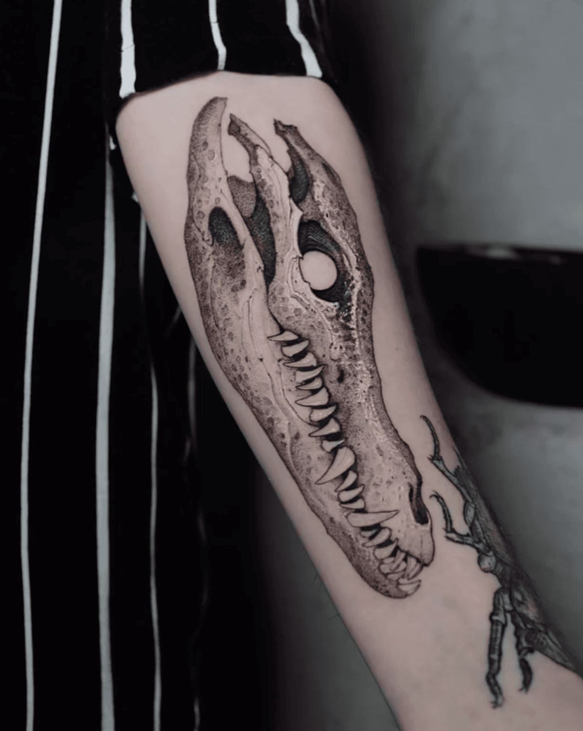 Skull of a Reptile