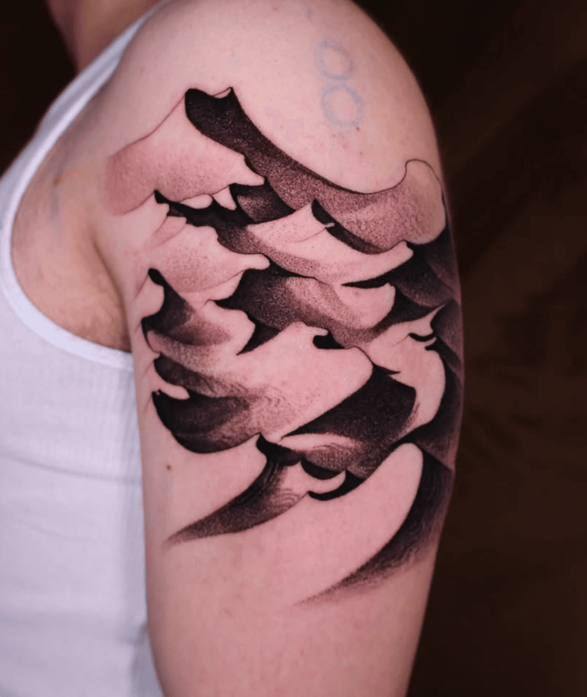 Sand dunes