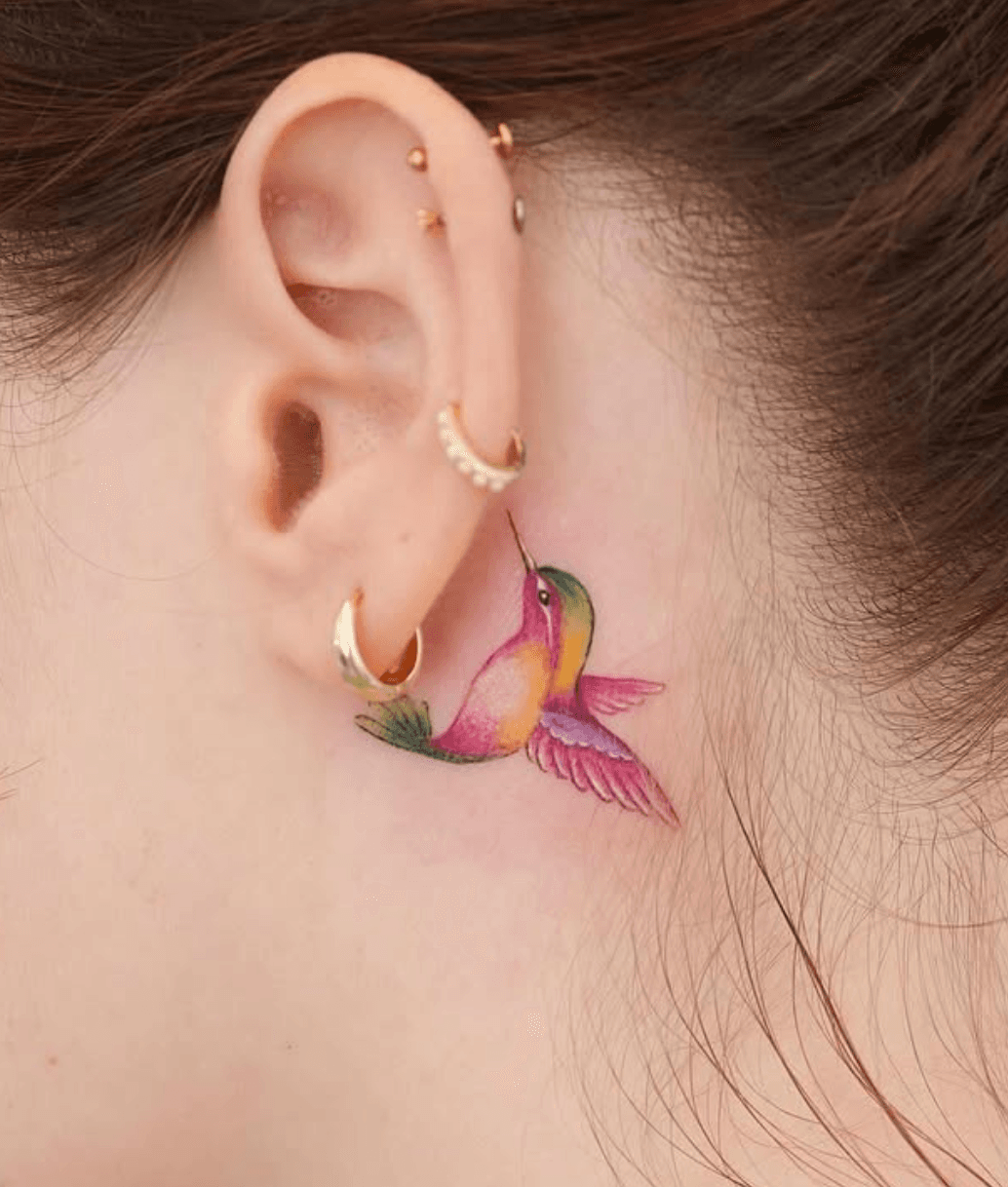 Colorful Hummingbird