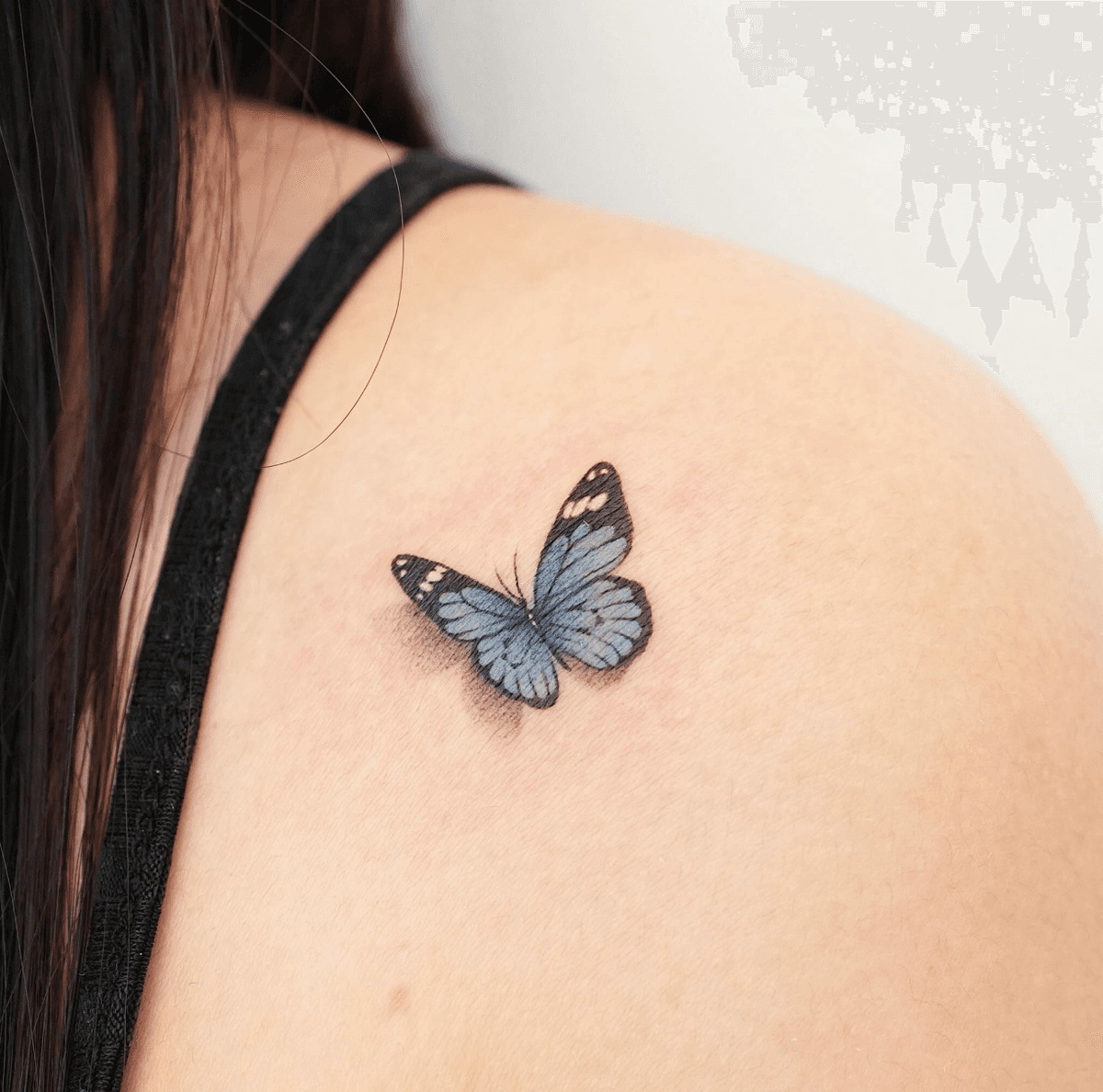 Butterfly with shadow