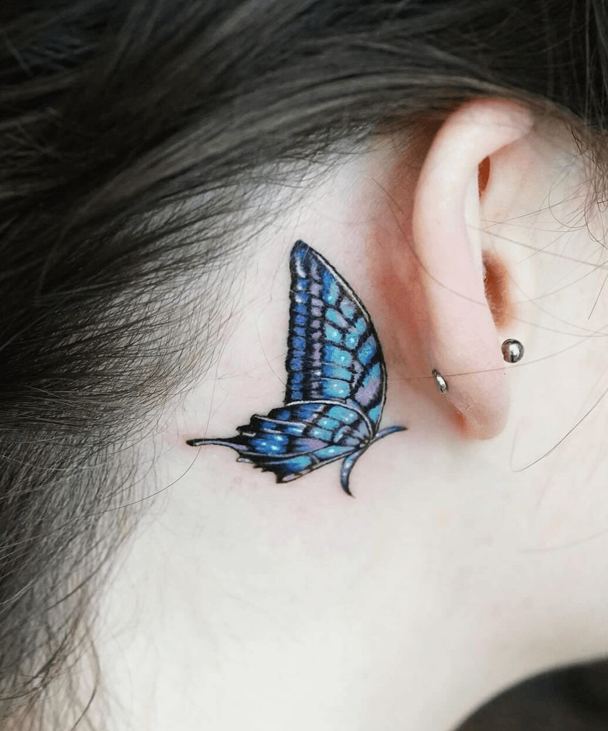 Colorful Butterfly Wing