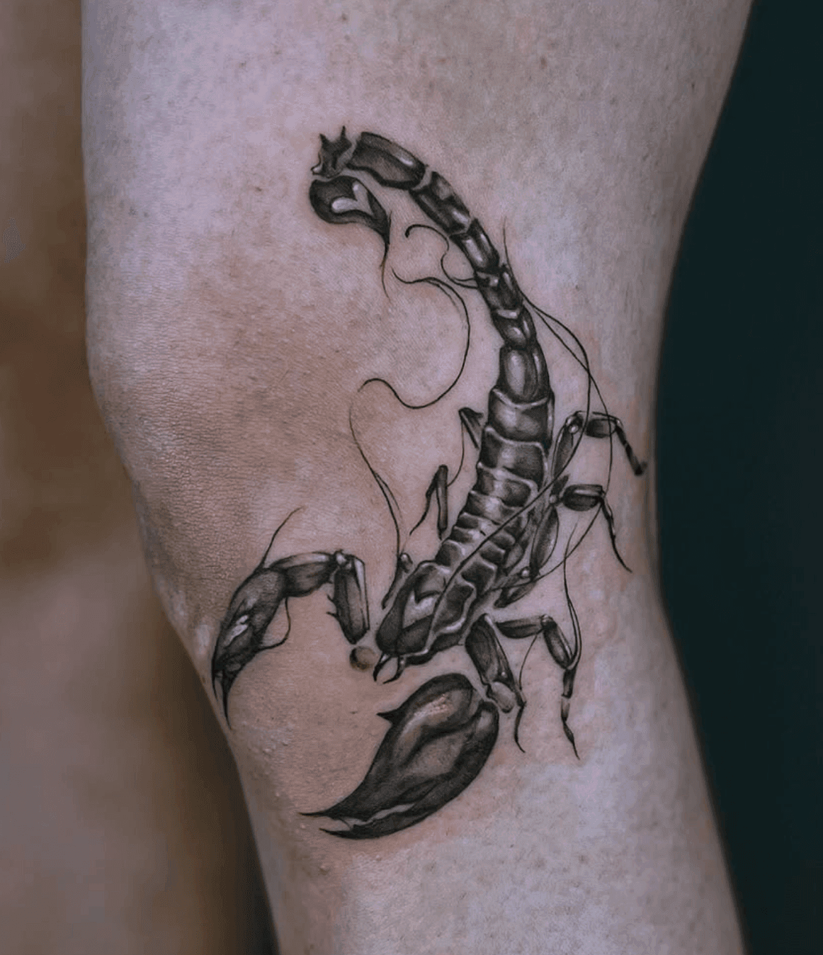 Realistic Scorpion on Knee