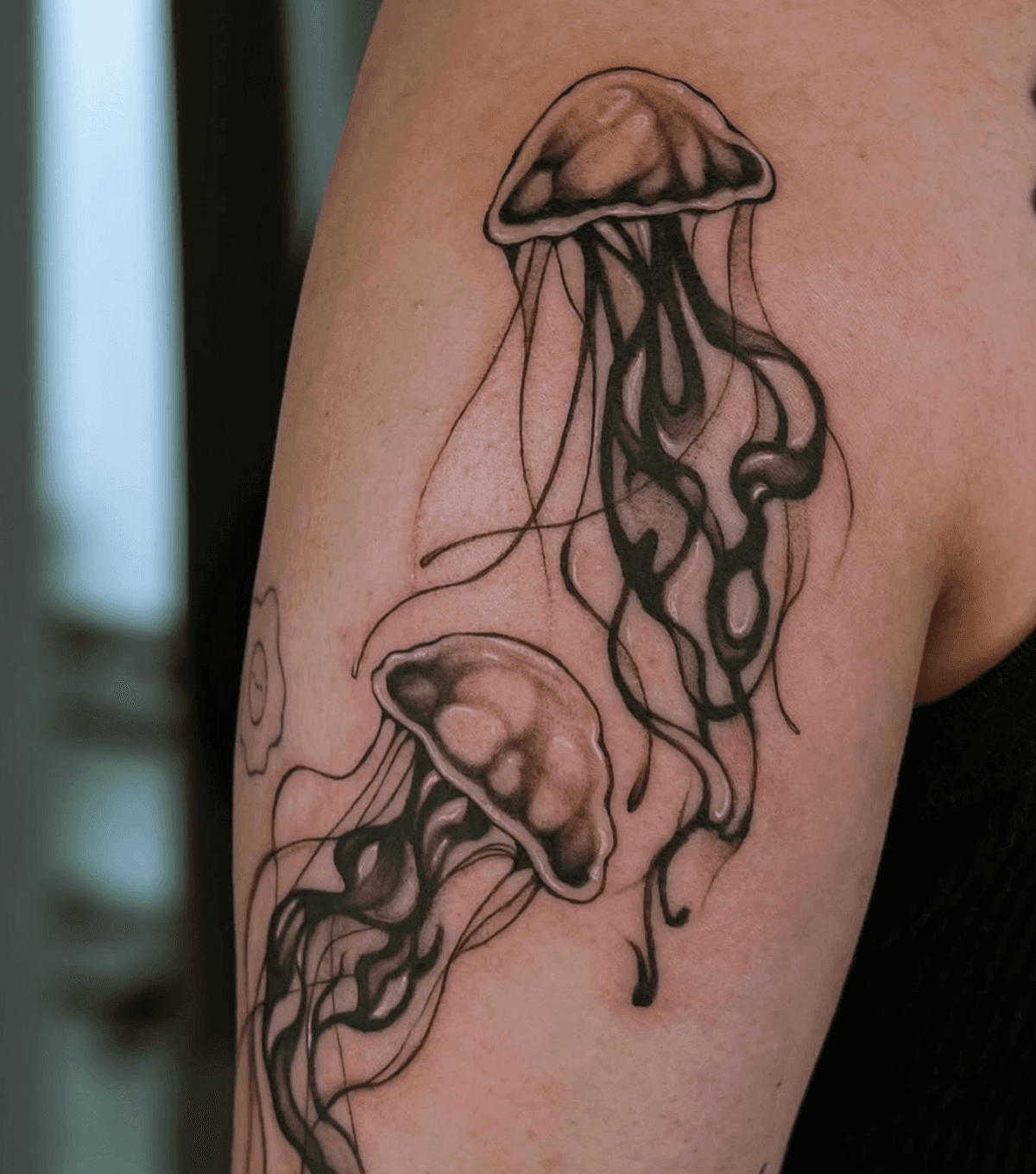 Floating Jellyfish Duo