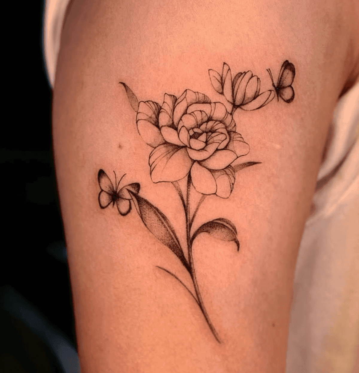 Rose and Butterflies