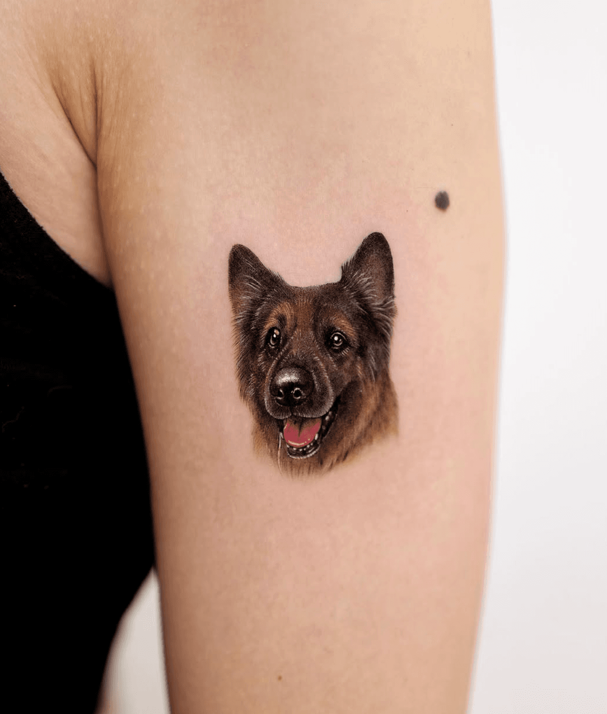 Realistic German Shepherd Portrait