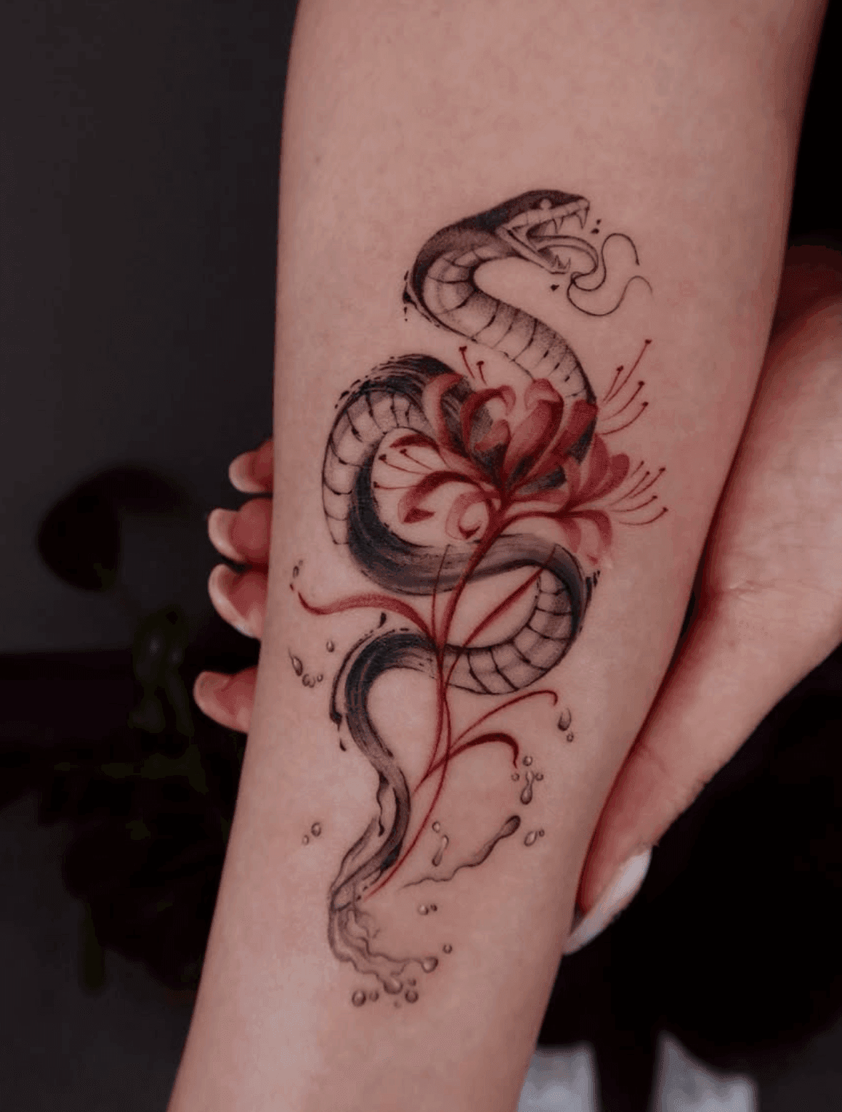 Serpent and Spider Lily