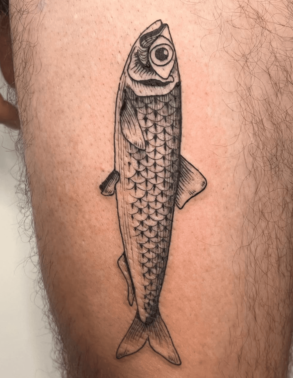 Detailed Fish Ink