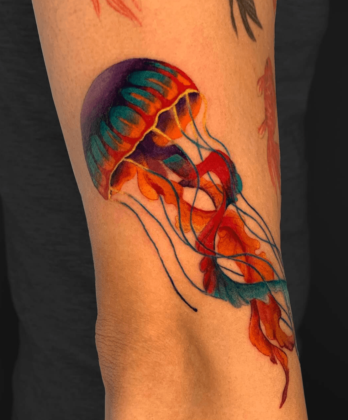Colorful Jellyfish