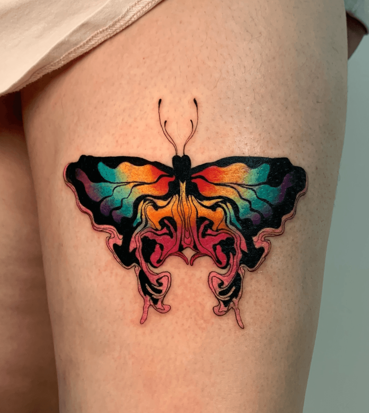 Vibrant Butterfly