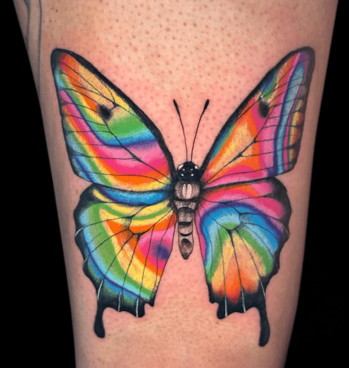 Colorful Butterfly